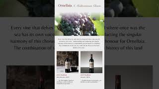 Italian Collections | Ornellaia Bolgheri | Antinori Tignanello