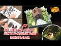 DIY DIORAMA RUMAH DARI BAHAN ALAM | SIMPLE DAN UNIK !