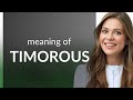 Timorous • definition of TIMOROUS