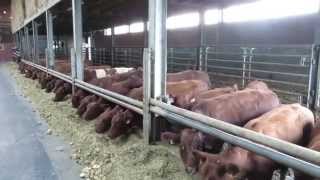 Rood rund van West- vlaanderen- Fam.Vandeputte.be