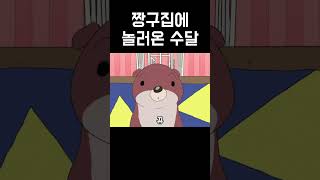 짱구집에 놀러온 수달 #짱구는못말려 #짱구