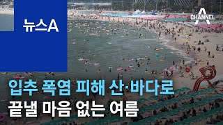 입추 폭염 피해 산과 바다로…끝낼 마음 없는 여름 | 뉴스A