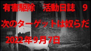 有害駆除　活動日誌 9　次のターゲットは奴らだ