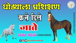 #kadamagro  घोड्याला प्रशिक्षण कसे देतात याबद्दल माहिती, #hourse, #लूकर, #चेतक, #महाराष्ट्र प्रशिक्ष