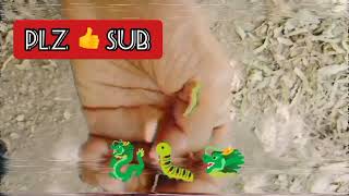 Very beautiful insect 🐛 # zig zag enjoy insect 🐛 # trending # viral video #