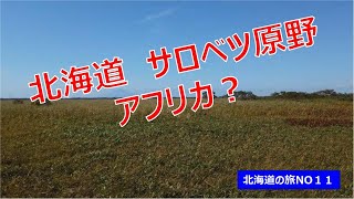 サロベツ原野 アフリカのサバンナか？　北海道の旅NO11