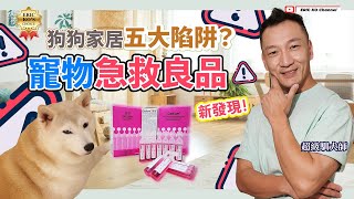 狗狗家居五大陷阱? 寵物急救良品⛑️