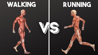 Walking vs Running: Weight Loss, Fat Loss, Life Span AND MORE
