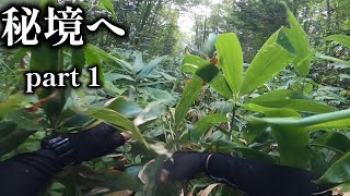 秘境へ、、、part 1【北海道渓流ルアーTrout fishing】