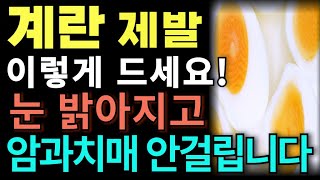 계란 제발 이렇게 드세요! 눈 밝아지고 치매 절대 안 옵니다