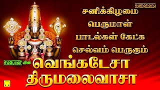 சனிக்கிழமை இந்த பெருமாள் பாடல்கள் கேட்க செல்வங்கள் சேரும் | Saturday Spl Venkatesa Thirumalaivasa