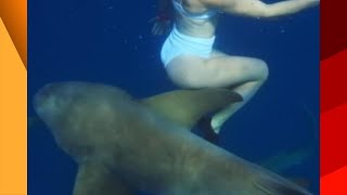 shark swimming near a beautiful girl