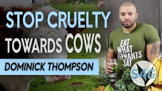 Eat What Elephants Eat' with Dominick Thompson