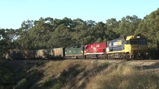 Mixture of colour on PN Freight 2AM5 at Fosters Corner