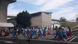 第16回 泉州よさこいゑぇじゃないか祭り 本祭 フリーステージ 夢源風人 2019.10.20