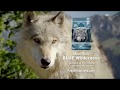 Chasing the Soul of the Wolf