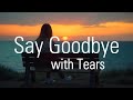 Say Goodbye with Tears - NiExshadow
