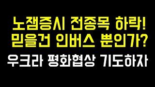 전종목 하락 인버스도 마이너스 | 우크라이나-러시아 평화협상 시작하나? | 롯데케미칼 삼성전자 미코