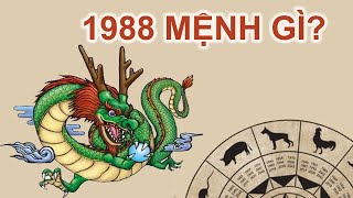 1988 mệnh gì? Tuổi Mậu Thìn 1988 hợp màu gì?