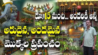 ఇంటిని ప్రకృతివనం చేసే మొక్కలు | అలంకరణ ఉపకరణాలు | Srinu's Plants Nuresey | 9849533129