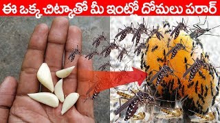 Get rid of mosquitoes from home instantly in just 2 min in telugu