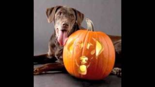 DOG O' LANTERNS