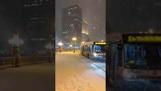 Chicago city Snowfall❄️🌨️#snow🌨️