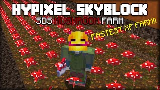 New FASTEST Way To Get Farming XP | SDS Mushroom Farm Tutorial | Hypixel Skyblock
