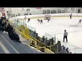 mississauga beast vs. gt capitals u12 aa jan 14th 2023