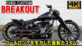 ロー＆ロングを生かしたブレイクアウト/ヨーロッパ製パーツ最新カスタム#harleydavidson #ハーレーダビッドソン#FXBR#EUROCUSTOM#ブレイクアウト#4K