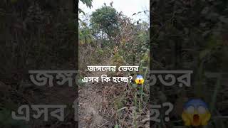 অবাক কান্ড!!জঙ্গলের ভিতর এসব কি হচ্ছে 😱😱