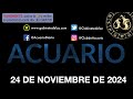 Horóscopo Diario - Acuario - 24 de Noviembre de 2024.