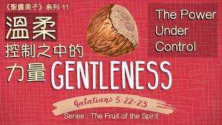 溫柔：控制之中的力量《聖靈果子》系列 11 ( Series: The Fruit of the Spirit 11_The Power Under Control) | 基督城靈糧堂