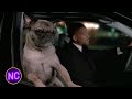 "She wanted to get back to the morgue, I helped her!" | Men In Black II (2002) | Now Comedy