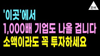 '이곳'에서 1,000배 기업도 나올 겁니다. 소액이라도 꼭 투자하세요