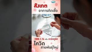 สังเกตอาการติดเชื้อโควิดสายพันธุ์ใหม่ XBB.1.16 พร้อมไอเทมรับมืออาการป่วยที่ต้องมีติดบ้าน