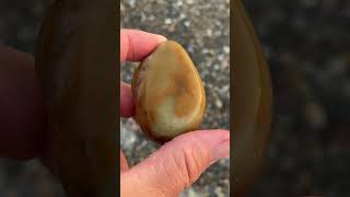 #beachstones #rockcollection #beachcombing #quartz #chalcedony #agatehunting #jasper #naturetherapy