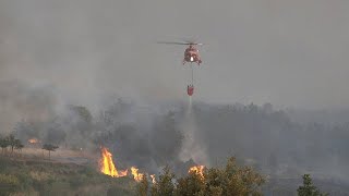 بدون تعليق: رجال الإطفاء يكافحون حرائق الغابات في منطقة جيروند بجنوب غرب فرنسا