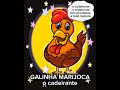 galinha marijoca o cadeirante