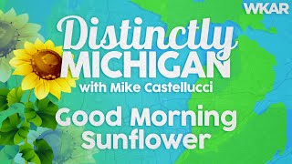 Good Morning Sunflower | Distinctly Michigan with Mike Castellucci