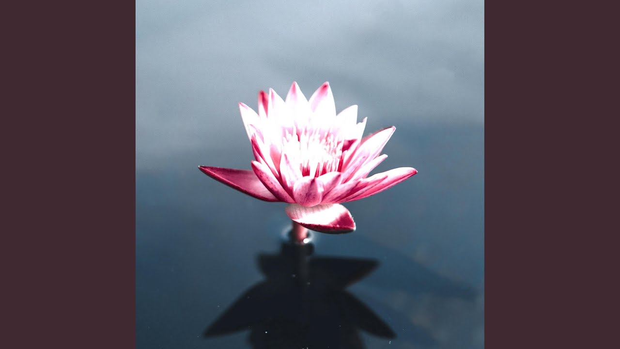 The Clearing Youtube Music