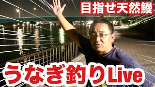 夜釣りライブ配信！巨大魚を狙え！釣光TV [ TURIKOU TV Fishing ch.] ツリコウtv がライブ配信中！