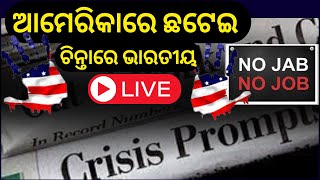 IT Company | ଆମେରିକାରେ ଚାକିରି ହରାଉଛନ୍ତି ଭାରତୀୟ | Ameica | India | Google | Lay Off | Odia News