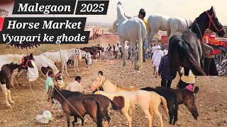 Malegaon jatra 2025 vyapari ke ghode | marwadi ghode ghodiya | baby horses | 🐎 market | ghoda bazar