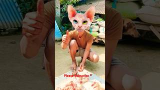 ye billi ye dekh mayra |😂 funny video 😂#trending #youtubeshorts