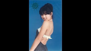 中森明菜 赤い鳥逃げた 1番 歌ってみた　柑橘オレンジ