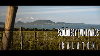 SZŐLŐHEGY | VINEYARDS | BALATON