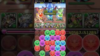 パズドラ　メモ　「リンシア降臨！【特殊】」 「マルチ　劉備　ディオス」