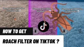 How to get ROACH Filter tiktok | Cockroach filter tiktok