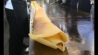 Chennai's Saravana Bhavan attempts to make world's longest dosa to set Guinness World Record